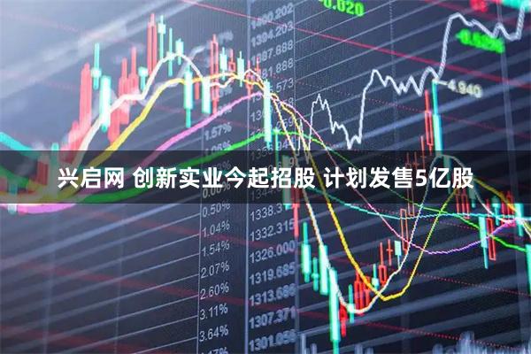 兴启网 创新实业今起招股 计划发售5亿股